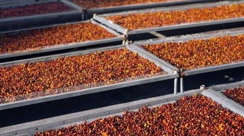 企业微信截图_16706370726243